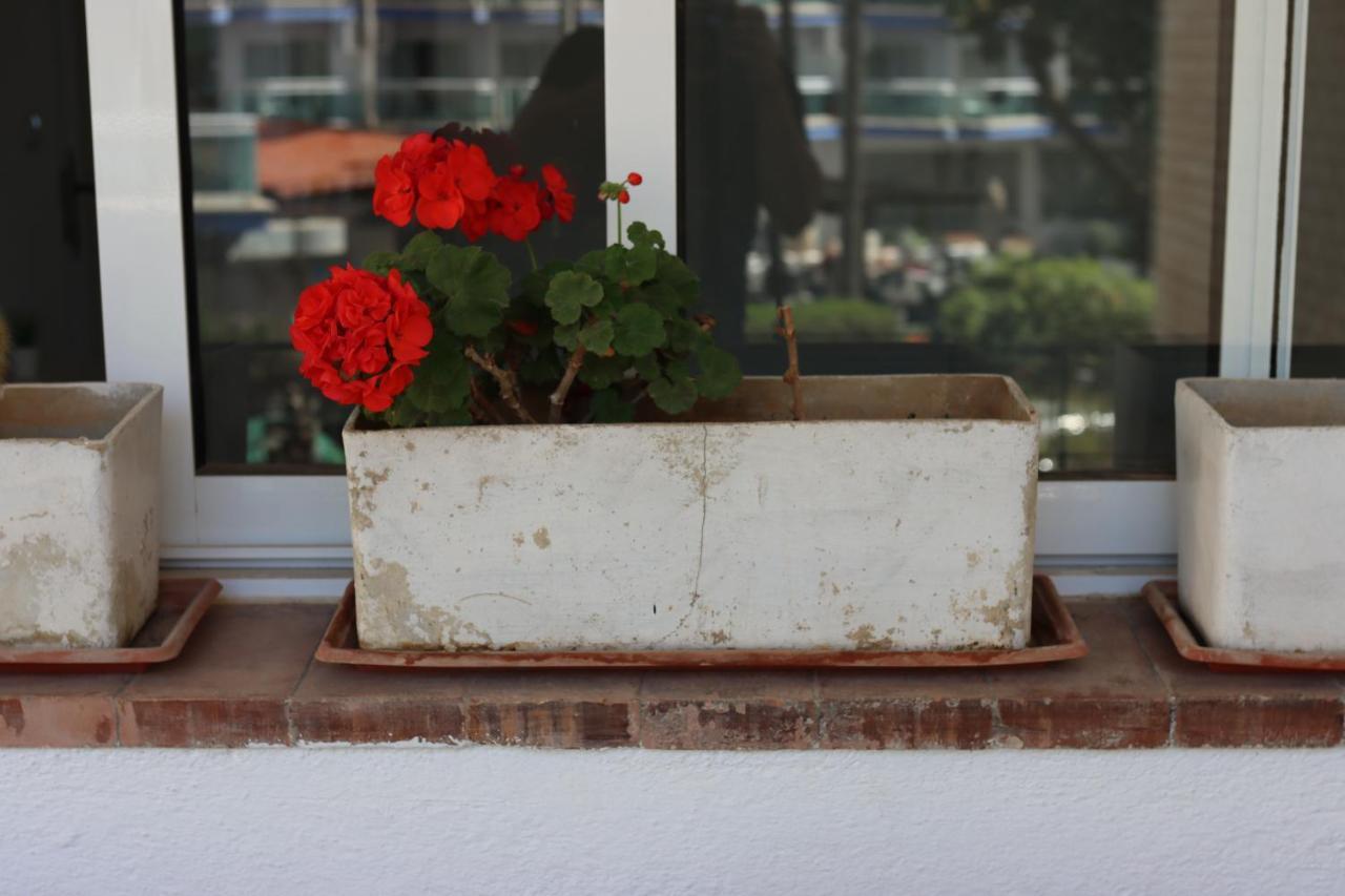 Charming Flat In Puerto Marina, *